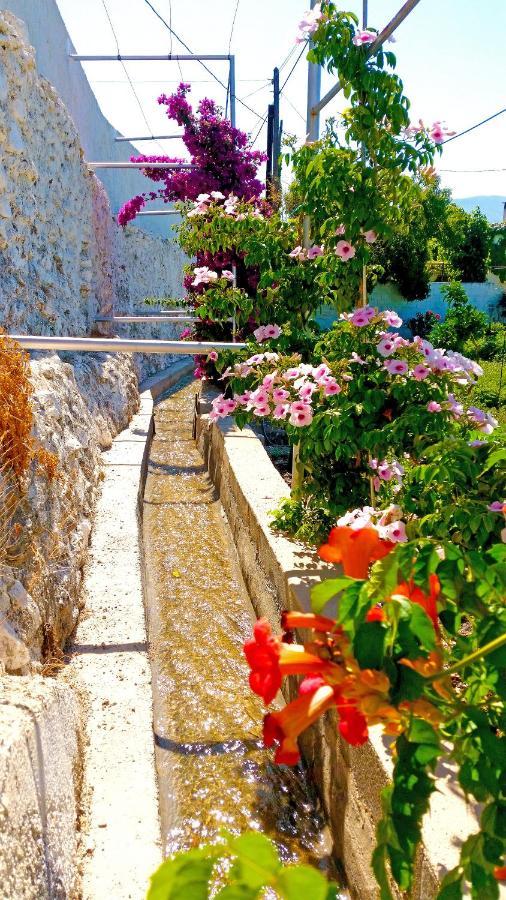 Villa Adelaida أورخيفا المظهر الخارجي الصورة