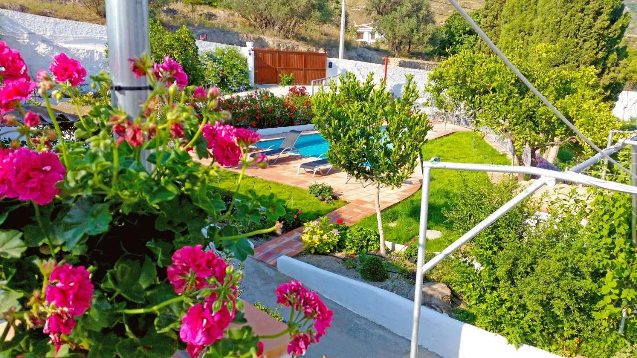 Villa Adelaida أورخيفا المظهر الخارجي الصورة